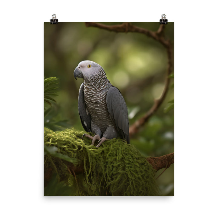 African Grey Parrot in Natural Habitat Photo paper poster - PosterfyAI.com