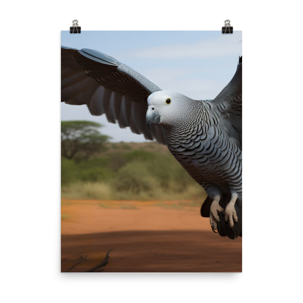 African Grey Parrot in Flight Photo paper poster - PosterfyAI.com