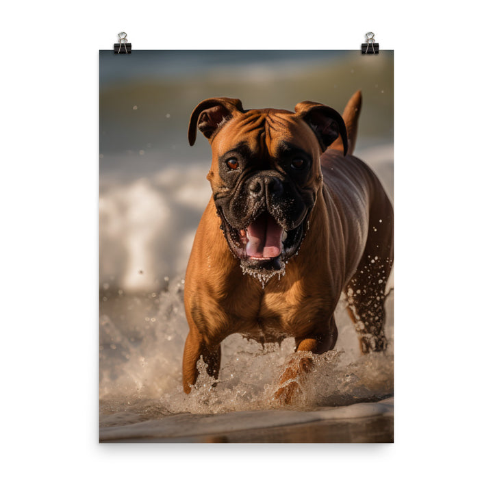 Boxer on the Beach Photo paper poster - PosterfyAI.com