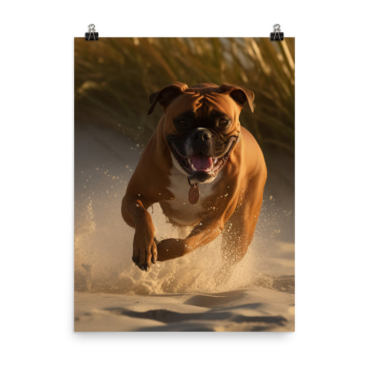 Boxer on the Beach Photo paper poster - PosterfyAI.com