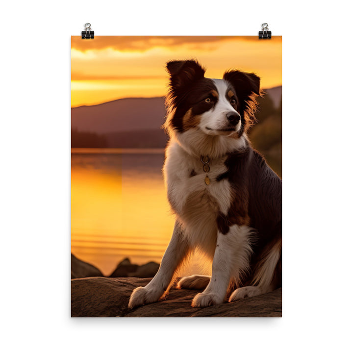 Border Collie at Sunset Photo paper poster - PosterfyAI.com