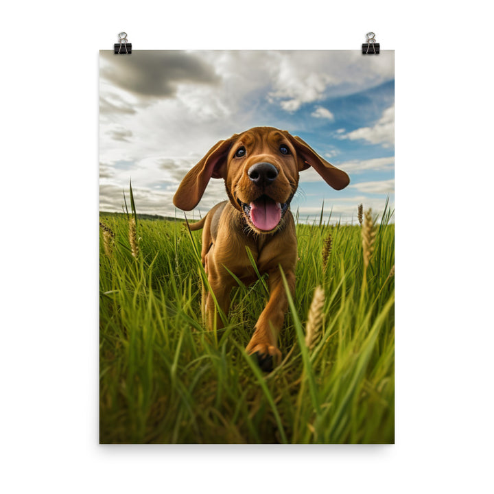 Bloodhounds Playtime Photo paper poster - PosterfyAI.com