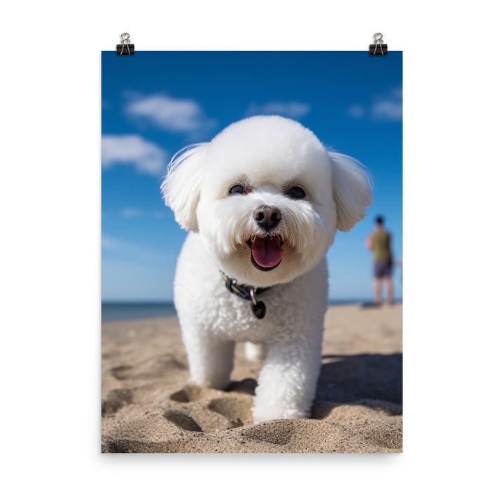 Bichon Frise on a Beach Photo paper poster - PosterfyAI.com