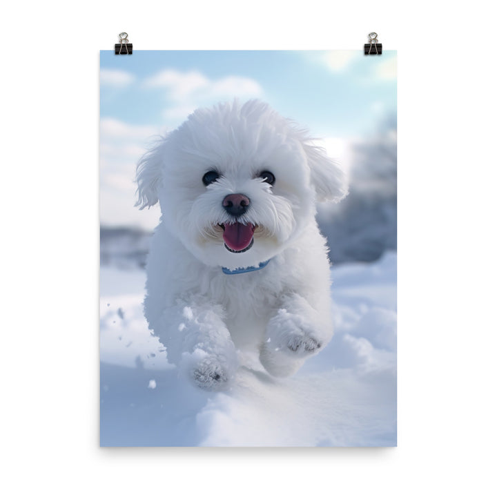 Bichon Frise in the Snow Photo paper poster - PosterfyAI.com