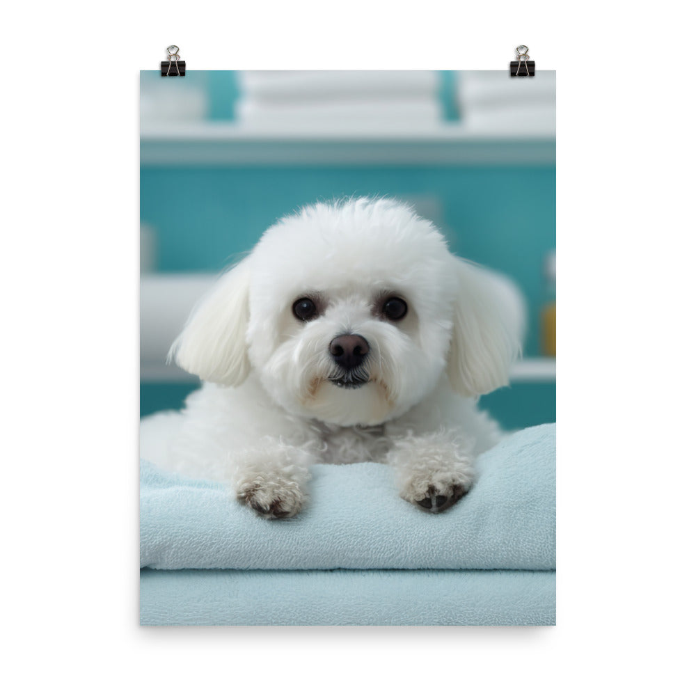 Bichon Frise in a Spa Photo paper poster - PosterfyAI.com