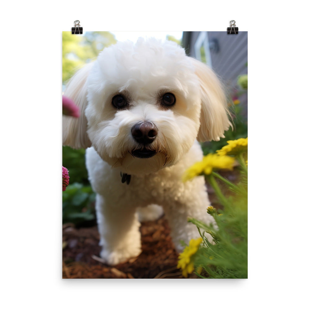 Bichon Frise in a Garden Photo paper poster - PosterfyAI.com