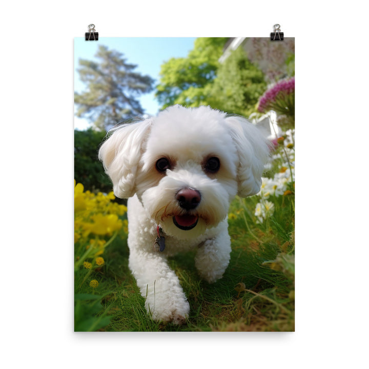 Bichon Frise in a Garden Photo paper poster - PosterfyAI.com