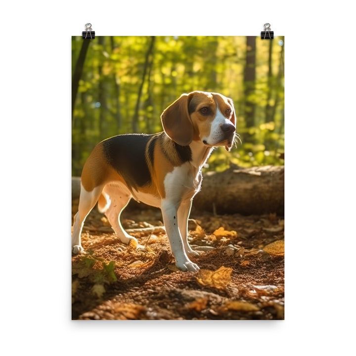 Beagle on the scent Photo paper poster - PosterfyAI.com