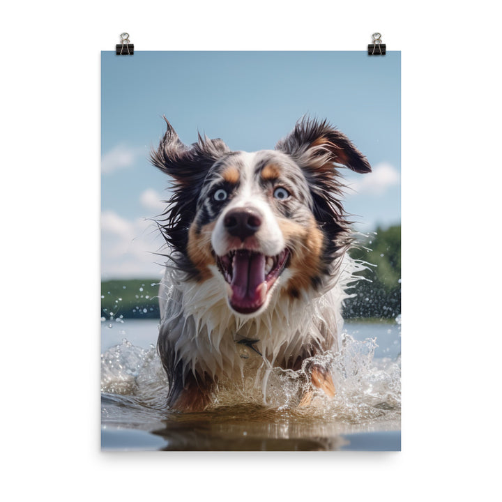 Australian Shepherd playing Photo paper poster - PosterfyAI.com