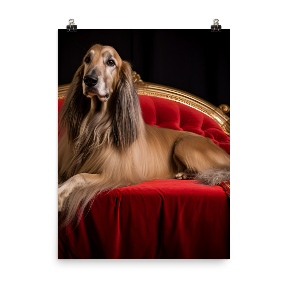 Afghan Hound in a regal pose Photo paper poster - PosterfyAI.com