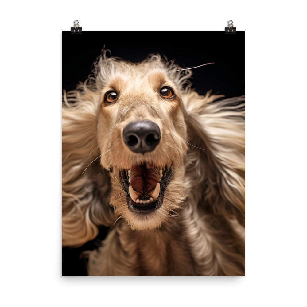 Afghan Hound in a playful mood Photo paper poster - PosterfyAI.com