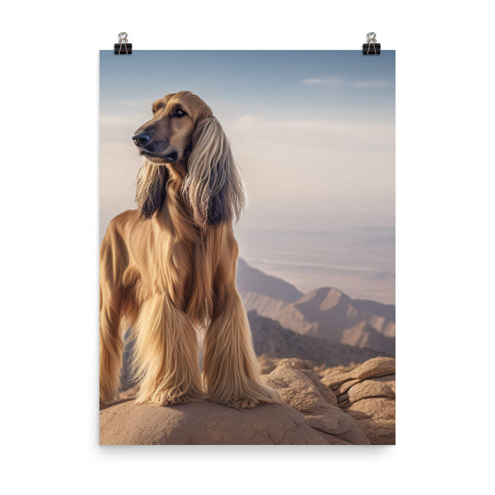 Afghan Hound in a natural environment Photo paper poster - PosterfyAI.com
