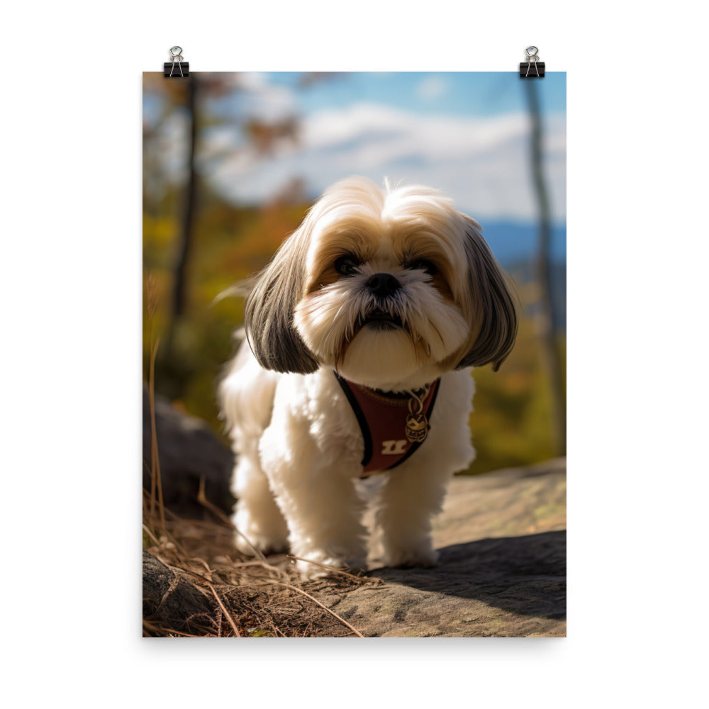 Adventurous Shih Tzu on a Hike Photo paper poster - PosterfyAI.com