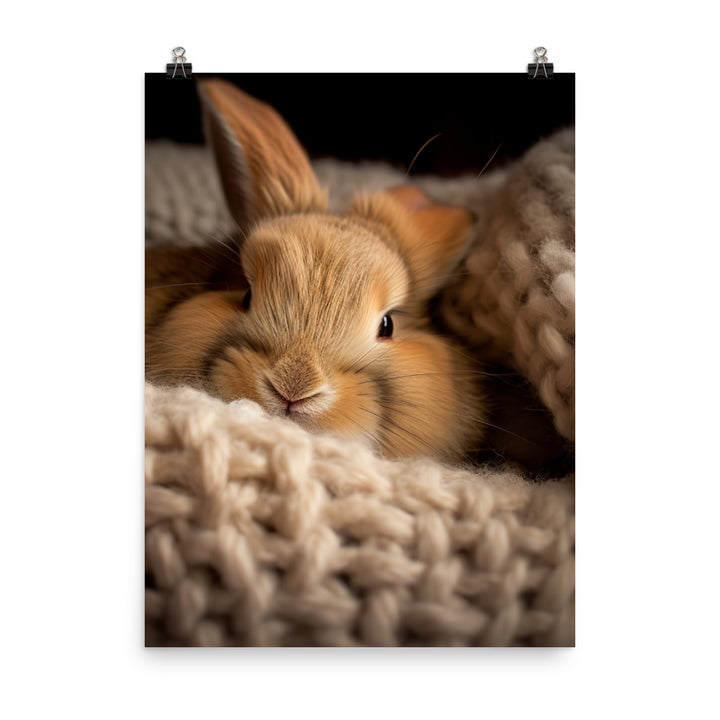 Jersey Wooly Bunny in a Cozy Setting Photo paper poster - PosterfyAI.com