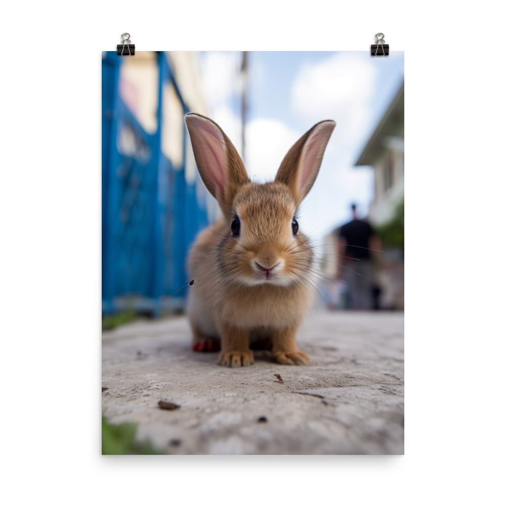 Adorable Havana Bunny Photo paper poster - PosterfyAI.com