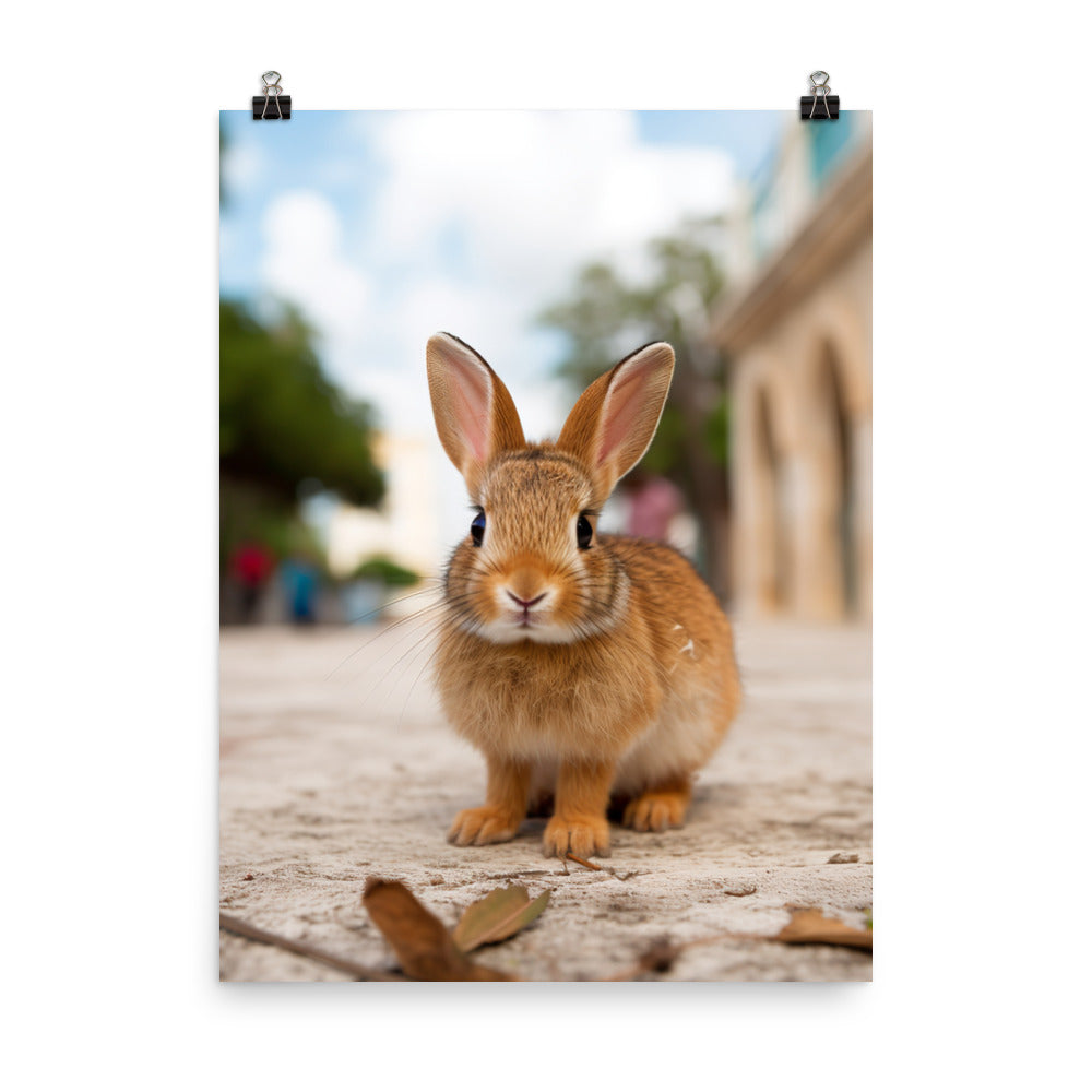 Adorable Havana Bunny Photo paper poster - PosterfyAI.com