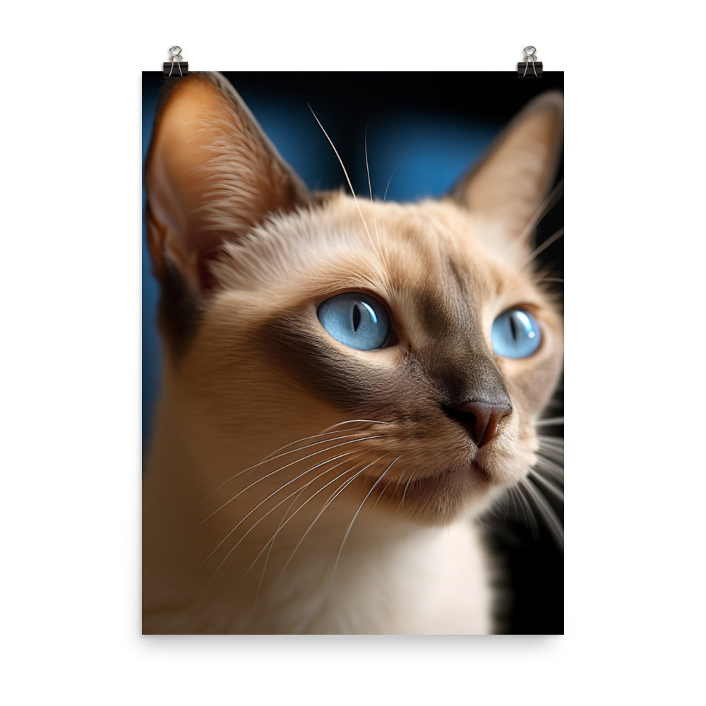 Charm of Tonkinese Kitten Photo paper poster - PosterfyAI.com