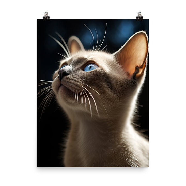 Charm of Tonkinese Kitten Photo paper poster - PosterfyAI.com