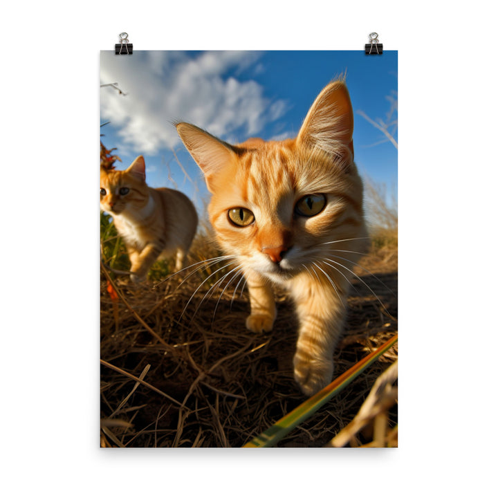 Playful Nature of Somali Cat Photo paper poster - PosterfyAI.com