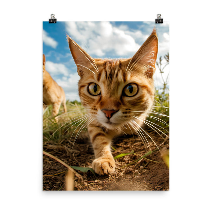 Playful Nature of Somali Cat Photo paper poster - PosterfyAI.com