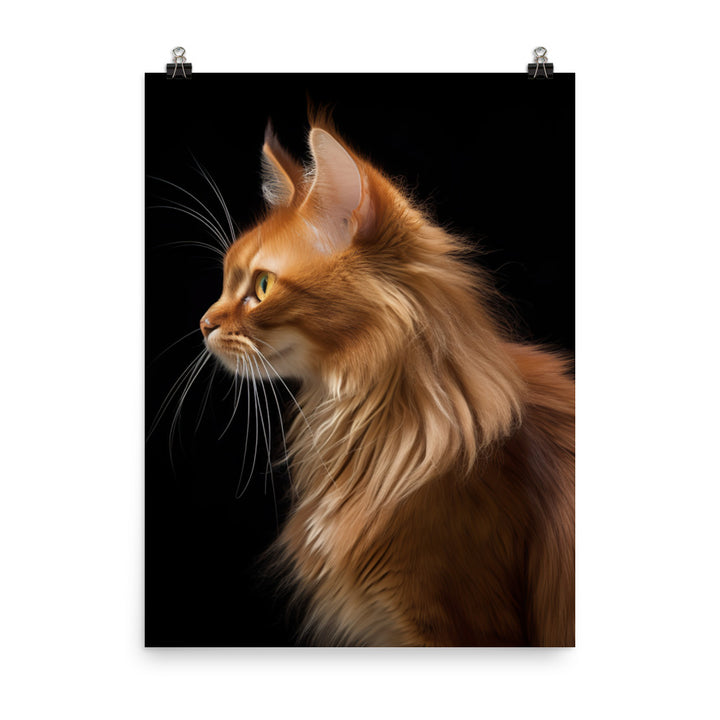 Beauty of Somali Cat Photo paper poster - PosterfyAI.com