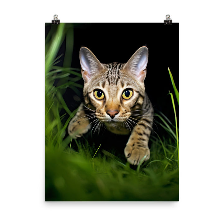 Agile Grace of Ocicat Cat Photo paper poster - PosterfyAI.com