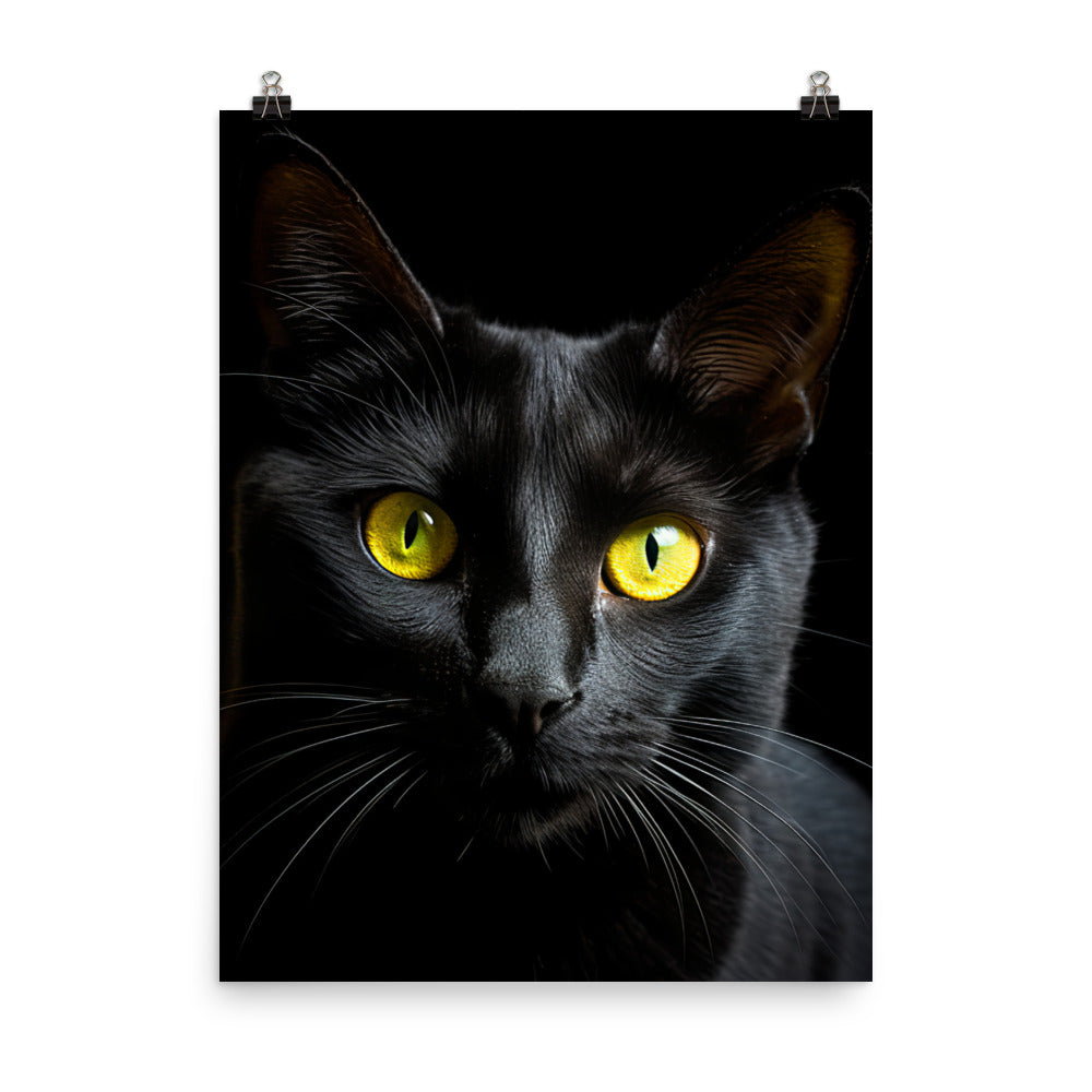 Bombay Cat in Stunning Detail Photo paper poster - PosterfyAI.com