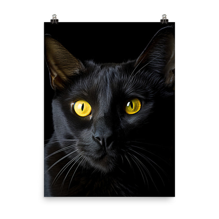 Bombay Cat in Stunning Detail Photo paper poster - PosterfyAI.com