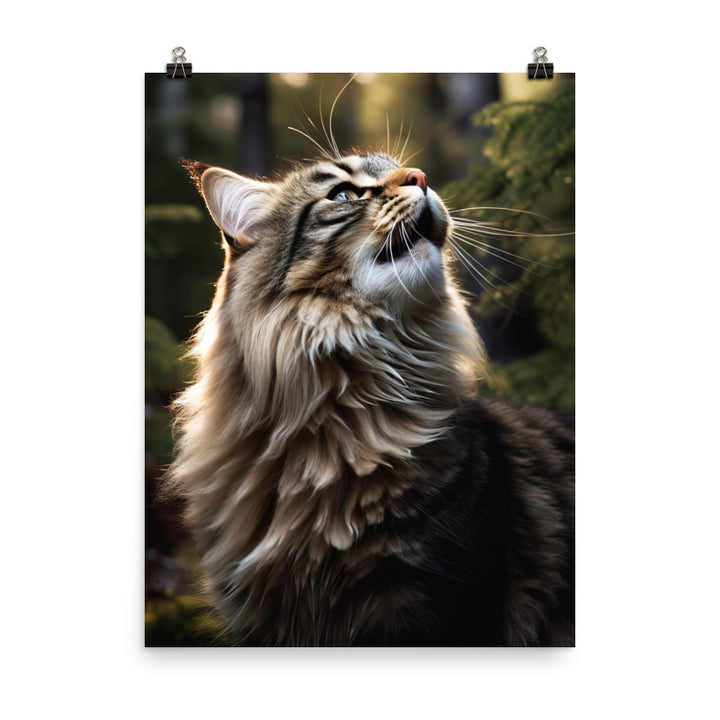 Norwegian Forest Cat Photo paper poster - PosterfyAI.com