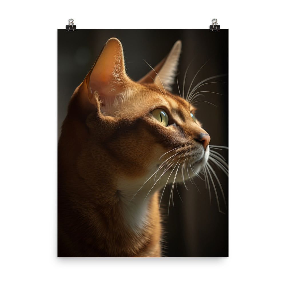 Abyssinian Cat Photo paper poster - PosterfyAI.com