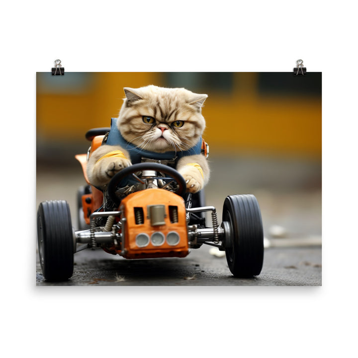 Exotic Shorthair Motorsport Athlete Photo paper poster - PosterfyAI.com