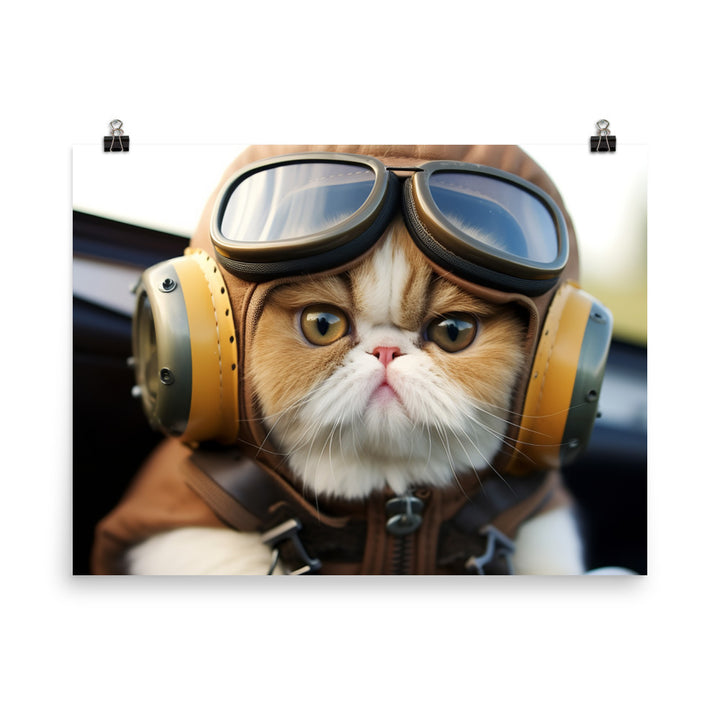 Exotic Shorthair Pilot Photo paper poster - PosterfyAI.com