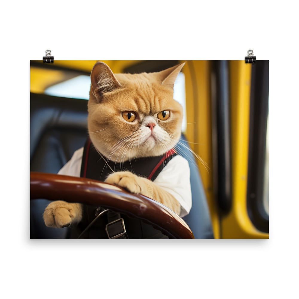 Exotic Shorthair Transit Operator Photo paper poster - PosterfyAI.com