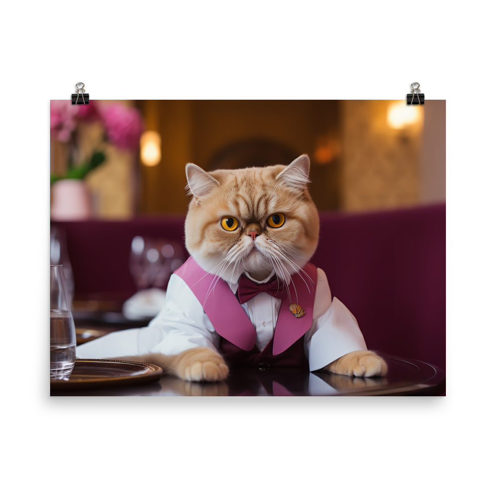 Exotic Shorthair Hotel Staff Photo paper poster - PosterfyAI.com