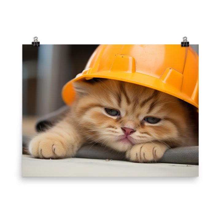 Exotic Shorthair Contractor Photo paper poster - PosterfyAI.com