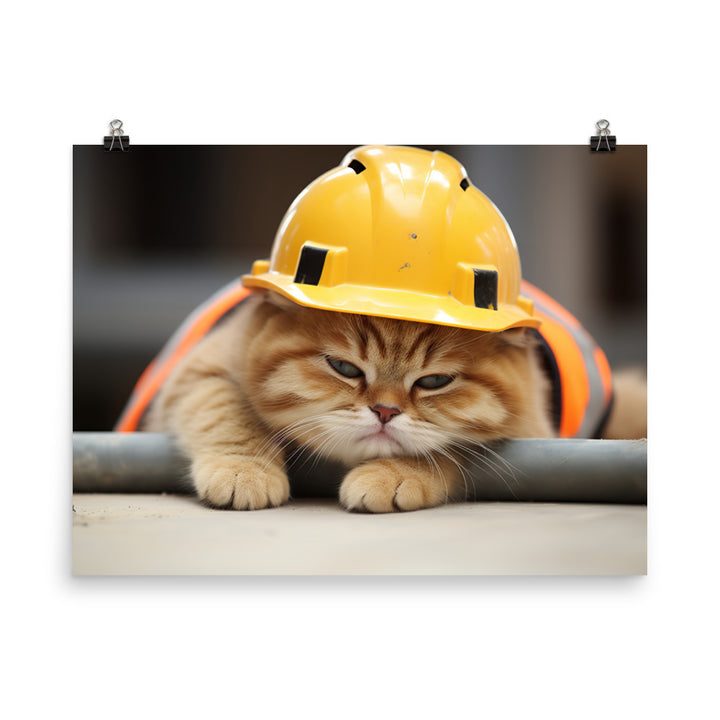 Exotic Shorthair Contractor Photo paper poster - PosterfyAI.com