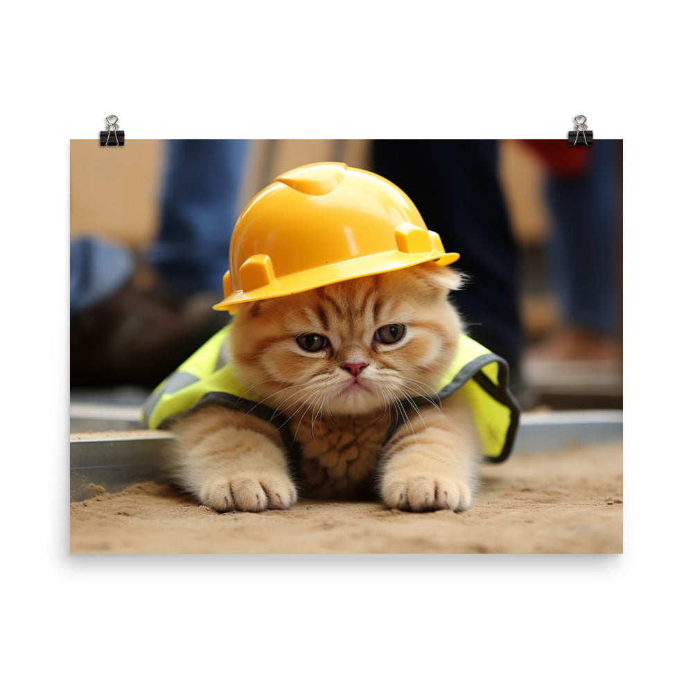 Exotic Shorthair Contractor Photo paper poster - PosterfyAI.com