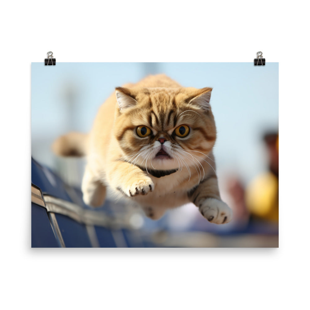 Exotic Shorthair Photo paper poster - PosterfyAI.com