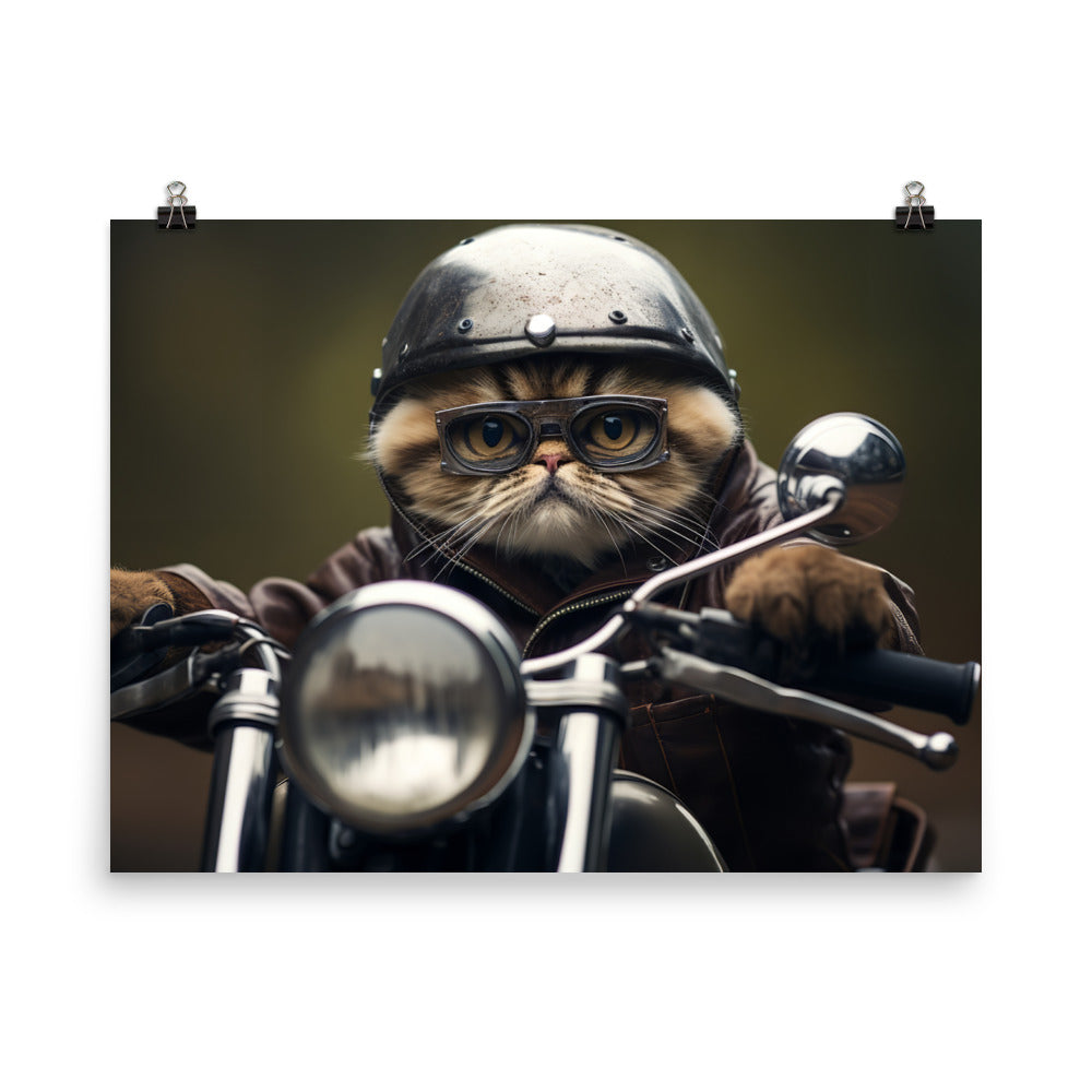 Exotic Shorthair Superbike Athlete paper poster - PosterfyAI.com