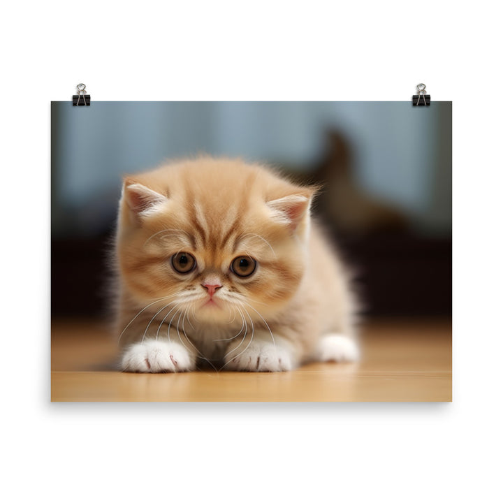 Exotic Shorthair Photo paper poster - PosterfyAI.com