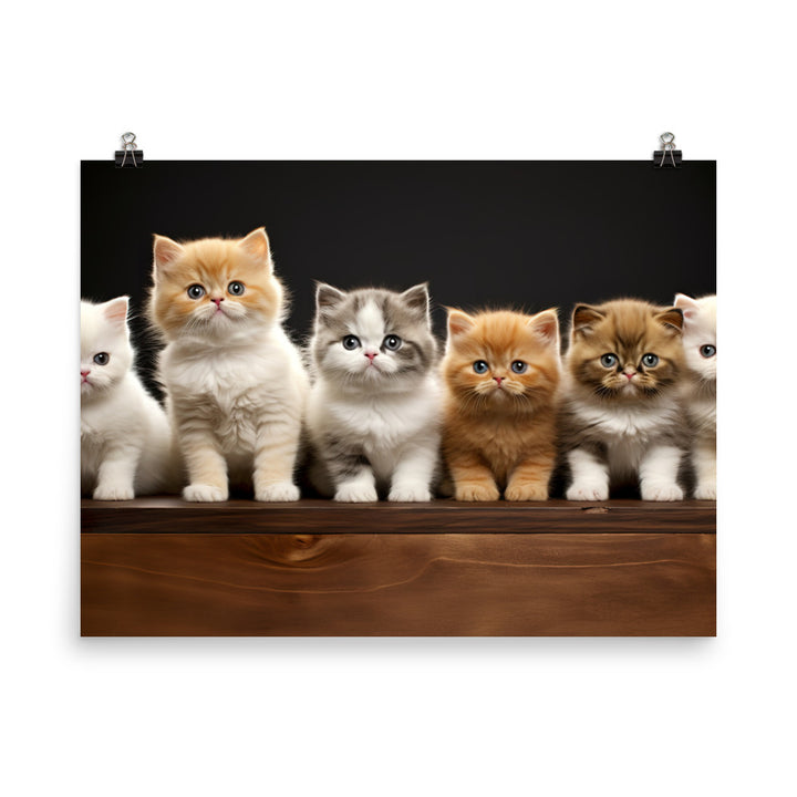 Exotic Shorthair Photo paper poster - PosterfyAI.com