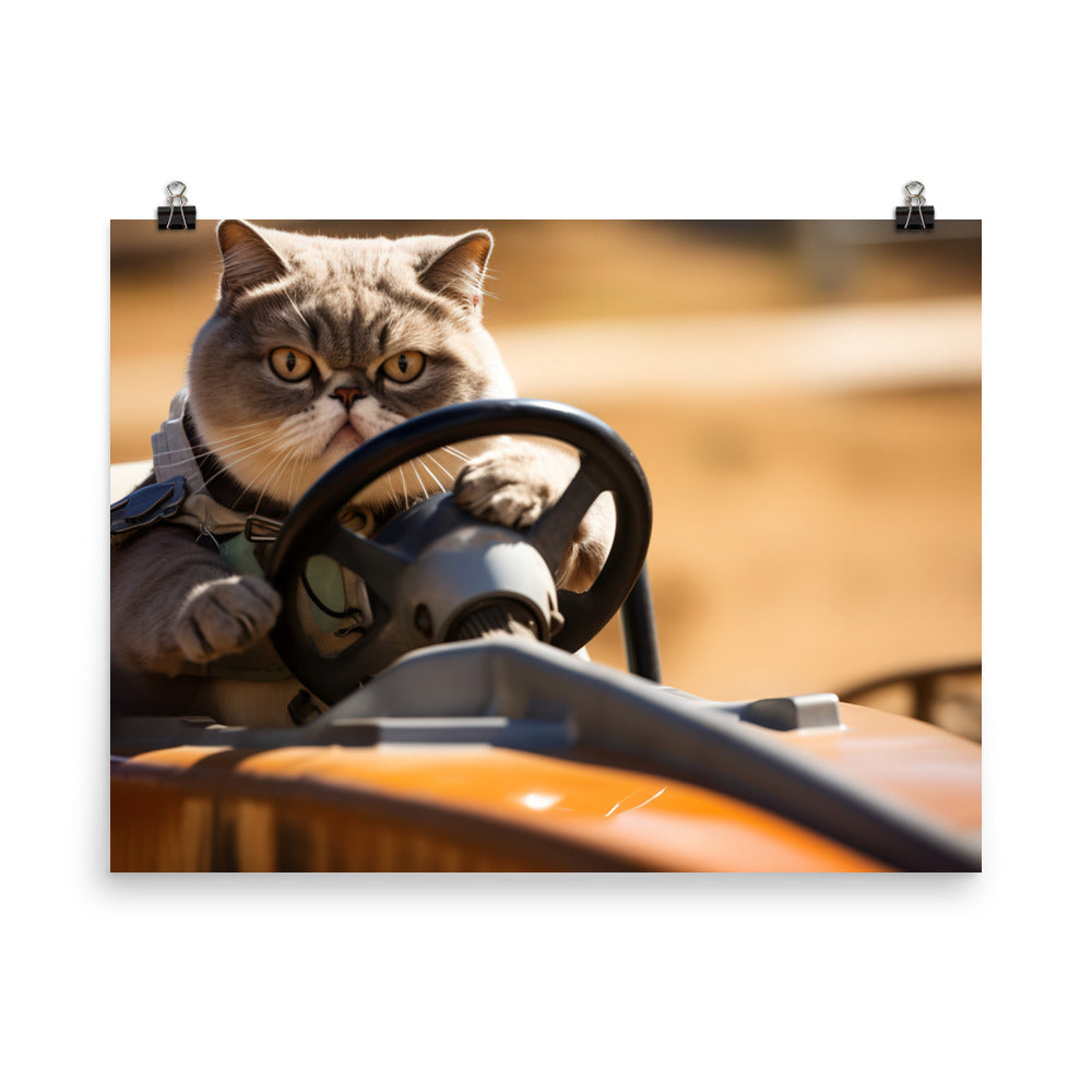 Exotic Shorthair Motorsport Athlete Photo paper poster - PosterfyAI.com