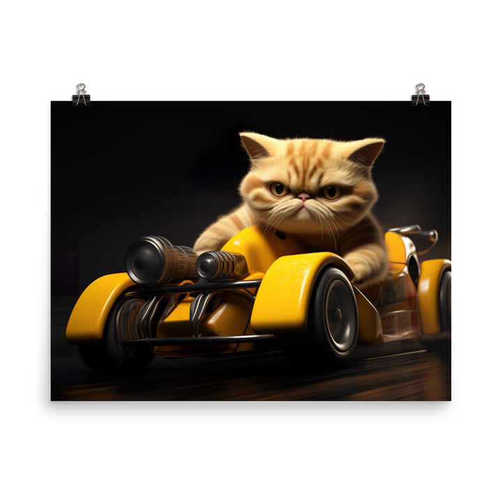 Exotic Shorthair Motorsport Athlete Photo paper poster - PosterfyAI.com