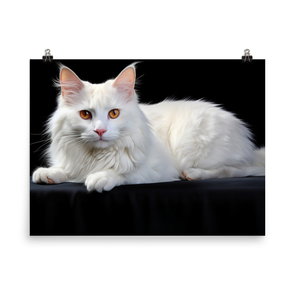 Turkish Van Photo paper poster - PosterfyAI.com