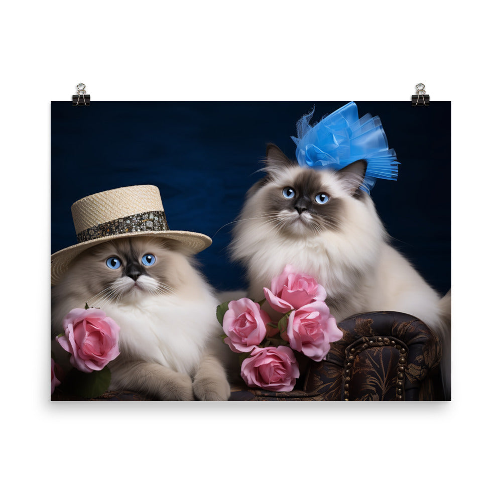 Ragdoll Photo paper poster - PosterfyAI.com