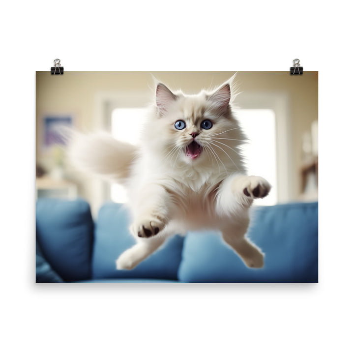 Ragdoll Photo paper poster - PosterfyAI.com