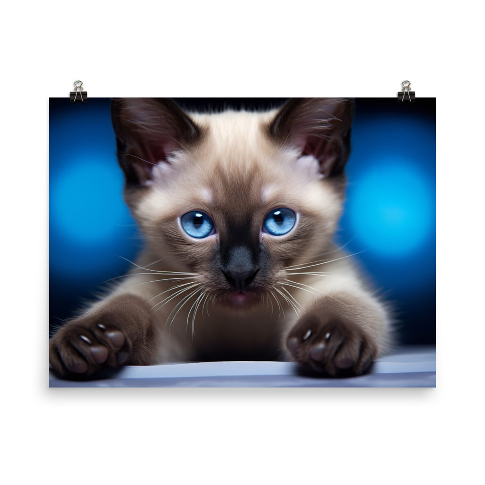 Siamese Photo paper poster - PosterfyAI.com