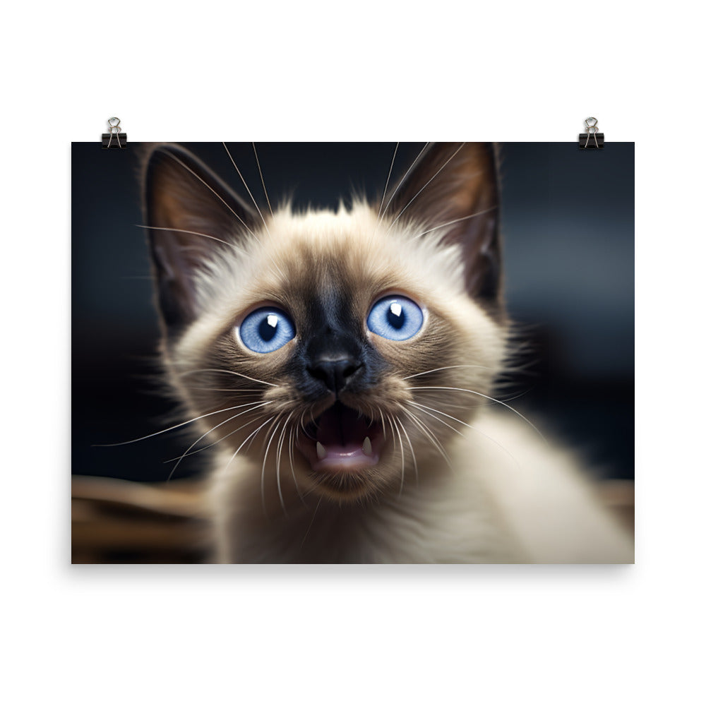 Siamese Photo paper poster - PosterfyAI.com