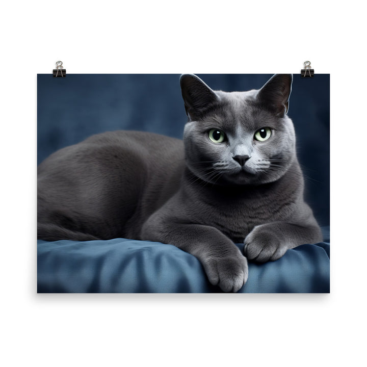 Russian Blue Photo paper poster - PosterfyAI.com