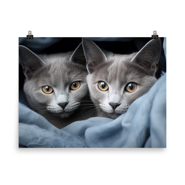 Russian Blue Photo paper poster - PosterfyAI.com